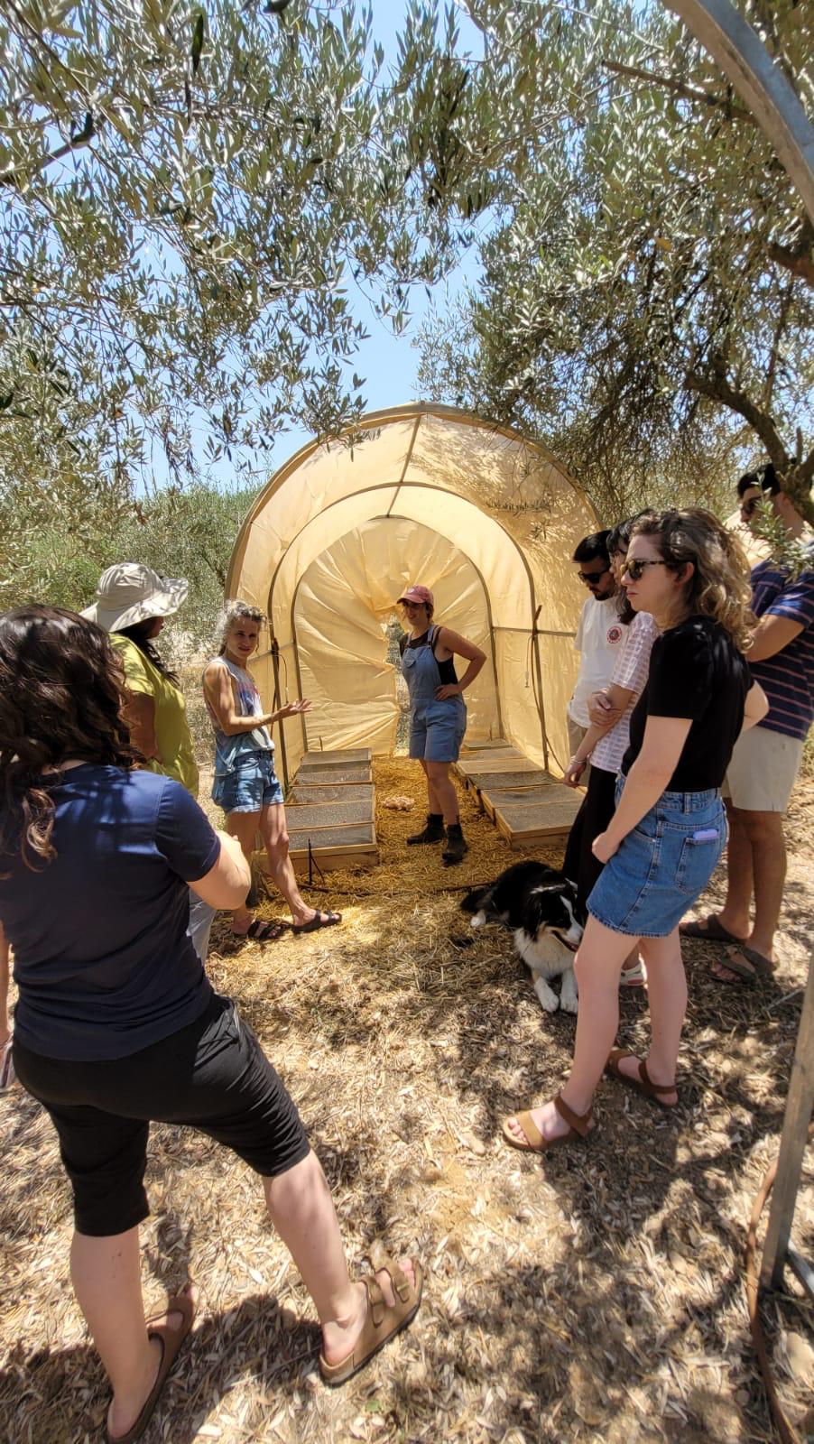 WhatsApp Image 2025-11-14 at 13.31.03