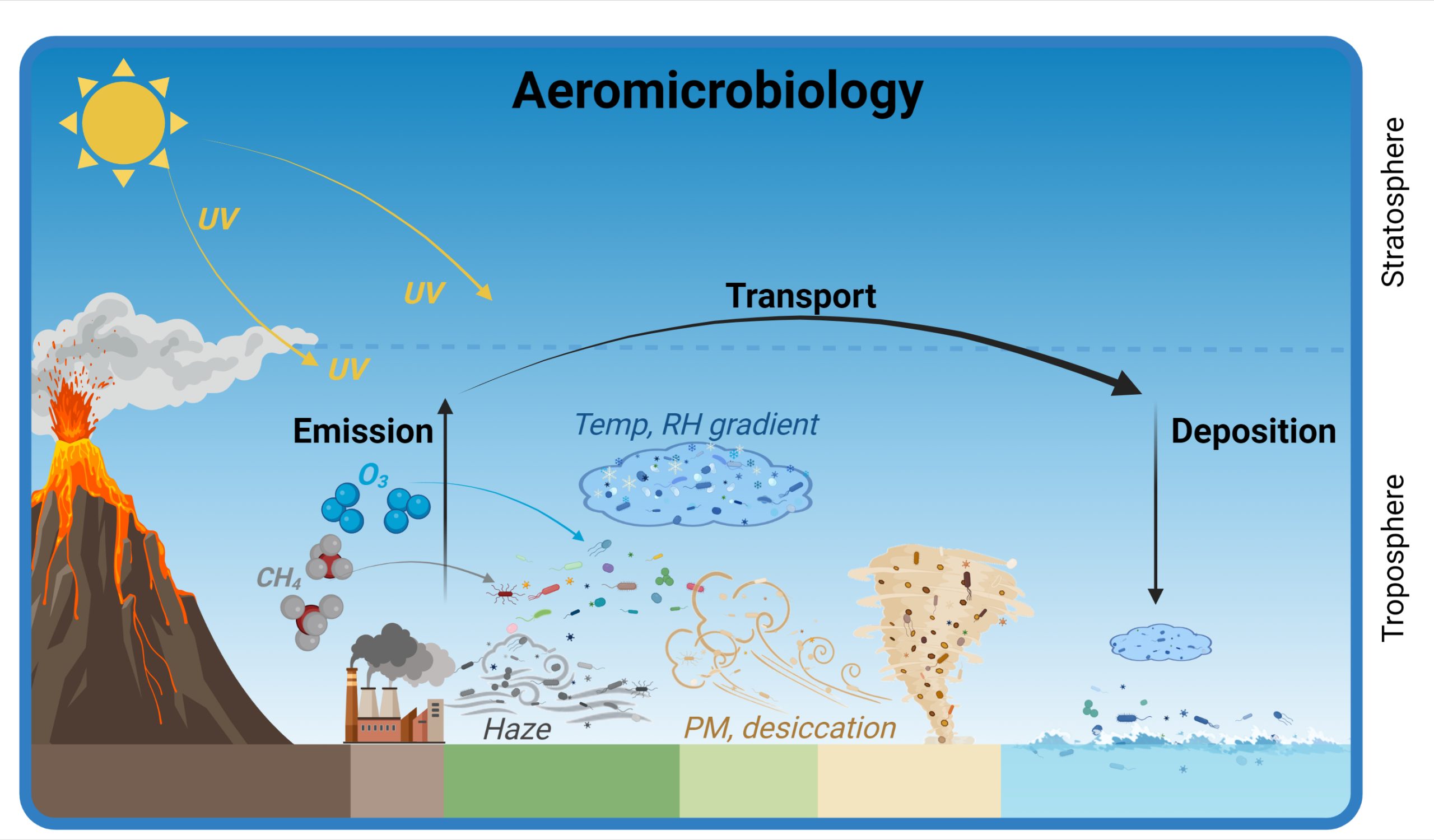 Graphic for Manuscript