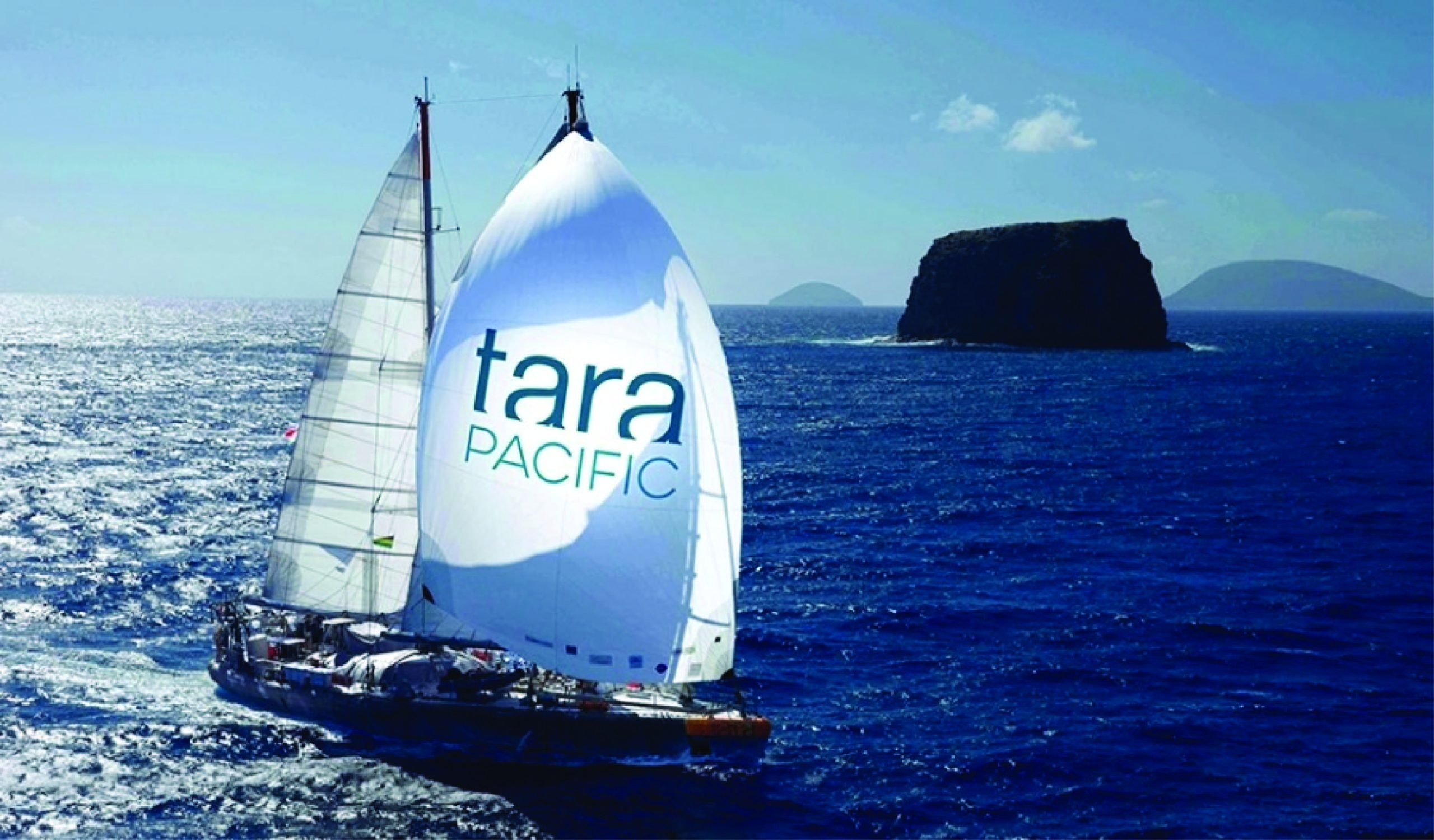 Tara